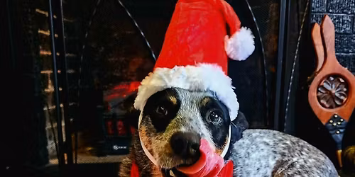 Paws & Claus Event - Pet Photos With Santa