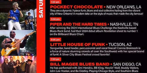 Illusion at the Silver City Blues Festival