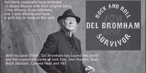 THE DEL BROMHAM BAND