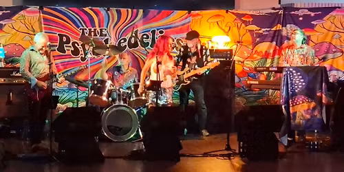 The Psychedelics play Django@Camelot!