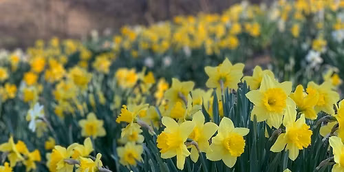 St Aidan's PTFA Christmas Craft Fair 