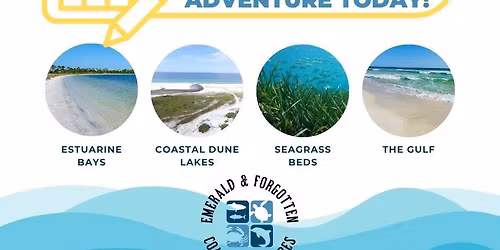 \ud83c\udf0a Homeschool Marine Science Field Adventure \ud83c\udf0a