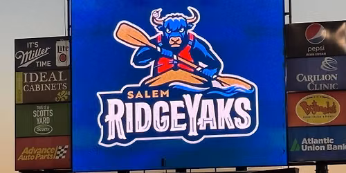 Salem Ridge Yaks