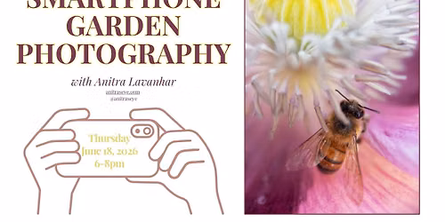 Smartphone Garden Photography