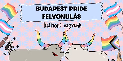 31. Budapest Pride Felvonul\u00e1s\/March