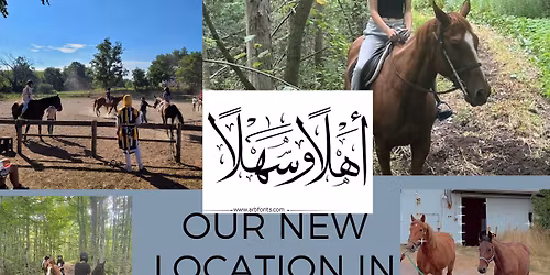 Step into a day of horses, healing, breath, and a beautifully styled luxury picnic in nature