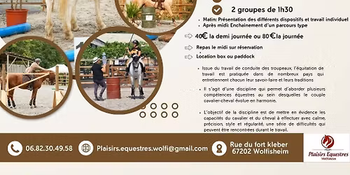 Stage \u00c9quitation de travail