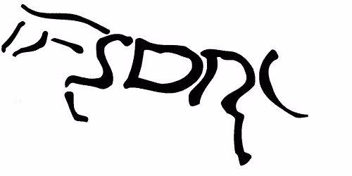 Summer Showjumping League