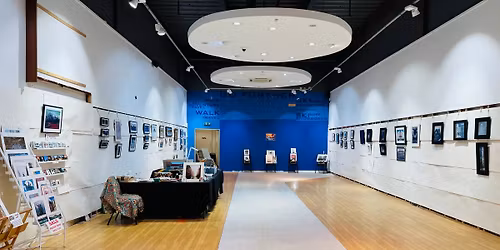 Cohen Art Festive Sale 