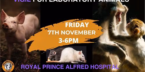 RPAH, Vigil for Primate & other Laboratory Animals