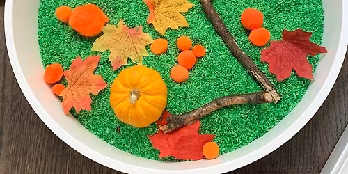 Pumpkin Patch Sensory Bin