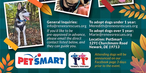 Barksgiving Meet & Greet 