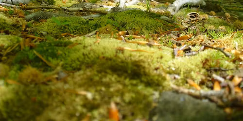 History of the Land Guided Hike