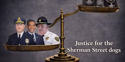 Stand Up for Rochester's Dogs! - Court Hearing on Animal Cruelty Lawsuit