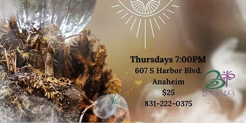 Psychic Development, Energy Awareness & The Universal Field