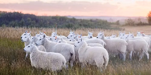 Meewasin Grazing Demonstrations - FREE