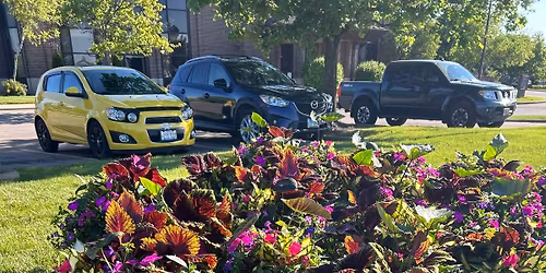 Algonquin Lions Foundation Spring Flower Sale