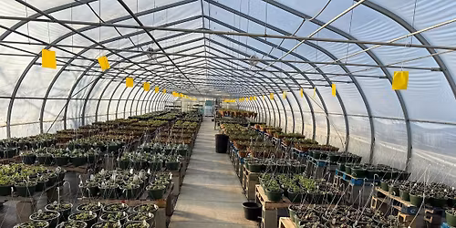 FREE - Greenhouse Tours at Dammann\u2019s Garden Company