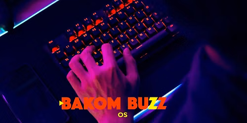 BAKOM BUZZ introkurs i spelutvikling - Os