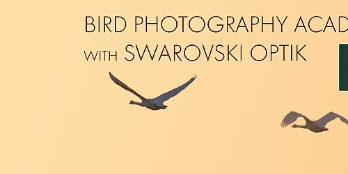 BIRD PHOTOGRAPHY ACADEMY with SWAROVSKI OPTIK