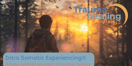 Introduction Somatic Experiencing\u00ae