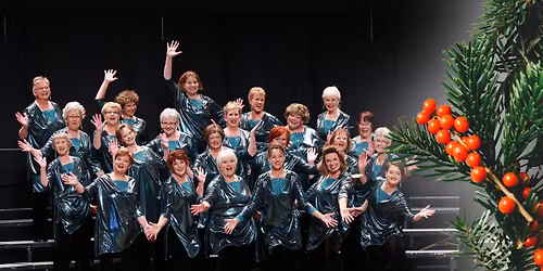 A Toit\u016b Christmas: Dunedin Harmony Chorus