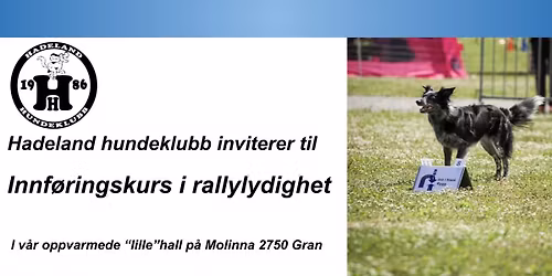 \ud83d\udc3e Innf\u00f8ringskurs i rallylydighet \ud83d\udc3e