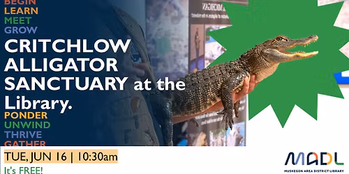 Critchlow Alligator Sanctuary