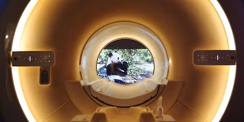 FREE TALK: Discover the Work of Cobalt Medical Charity