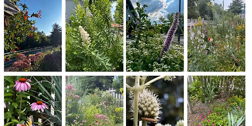3rd Biannual Native Plant Exchange!