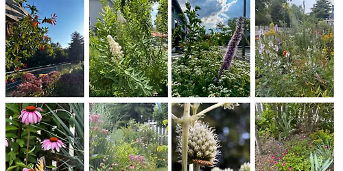 3rd Biannual Native Plant Exchange!