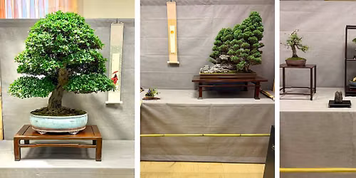 Exposition Bonsa\u00efs, Ikebana, Suiseki