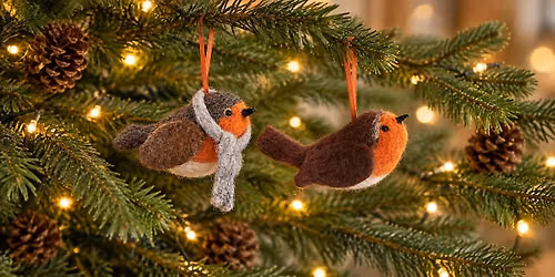 Beginners Needle Felting Workshop - Christmas Robin