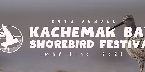 Kachemak Bay Shorebird Festival