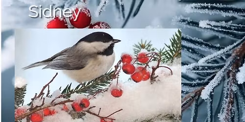 Winter Watercolor class