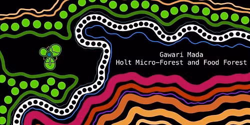 Holt Micro-Forest Turns 4!