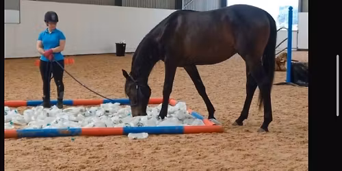 AK Equestrian Spook Busting