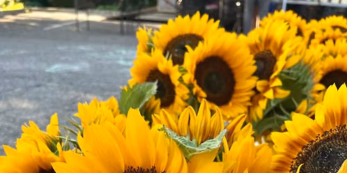Saline Outdoor Farmers Market