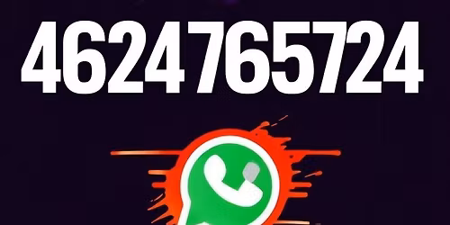 \ud83c\udf89 Tour Luz y Sombra \u2013 Tattoo Music Fest Guadalajara 2025 \ud83c\udf89 tour oficial gto \n\n