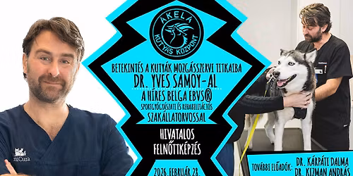 BETEKINT\u00c9S A KUTY\u00c1K MOZG\u00c1SSZERVI TITKAIBA Dr. Yves Samoyal, a h\u00edres EBVS\u00aerehabilit\u00e1ci\u00f3s szakorvossal