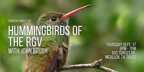 Hummingbirds of the RGV