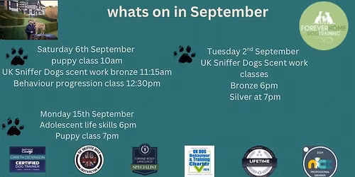 UK Sniffer Dogs Scent work