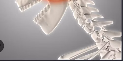 TMJ, Carpal Tunnel, Plantar Fasciitis 18hr CE