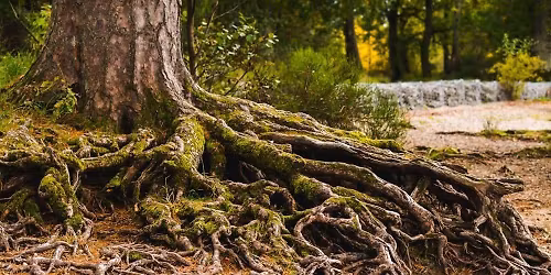 Et si on travaillait sur nos lign\u00e9es familiales ( atelier pratique)\/ 5 places dispos.