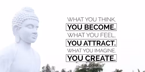 Festival of frequencies