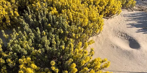 CraneOutdoors: Castle Neck Hike in the Dunes