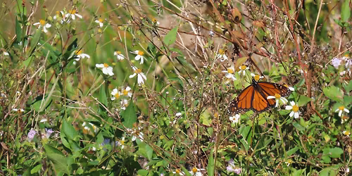 "Off the Beaten Path" Special Guided Hike