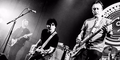 The Chameleons