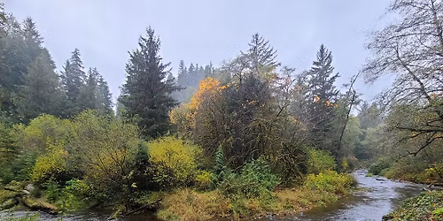 Science on Tap: Conservation Film Showing