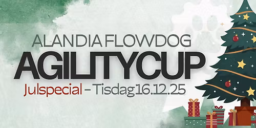 FD Agilitycup, del 2 - julspecial